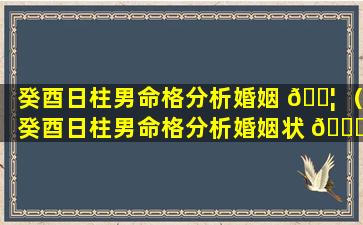 癸酉日柱男命格分析婚姻 🐦 （癸酉日柱男命格分析婚姻状 🕊 况）